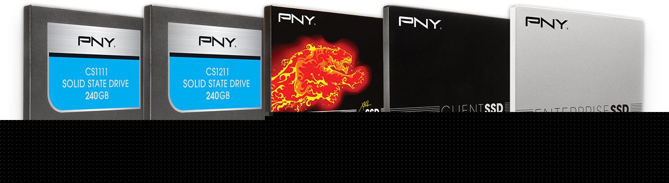 PNY SSD